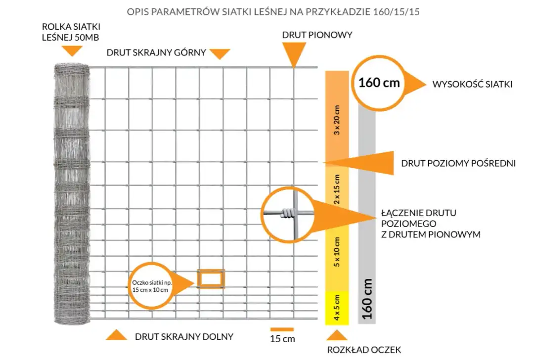 Płot na sarny: Jaka wysokość zapewni 100% ochronę ogrodu?