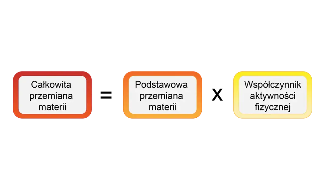 Całkowita przemiana materii - Jak obliczyć CPM i mądrze schudnąć?