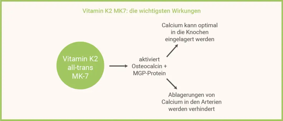 Die überraschenden Vorteile von K2MK7 Vitamin für Ihre Gesundheit