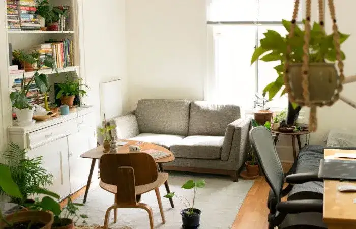 Dlaczego warto uprawiać rośliny doniczkowe? Odkryj ich niezwykłe korzyści