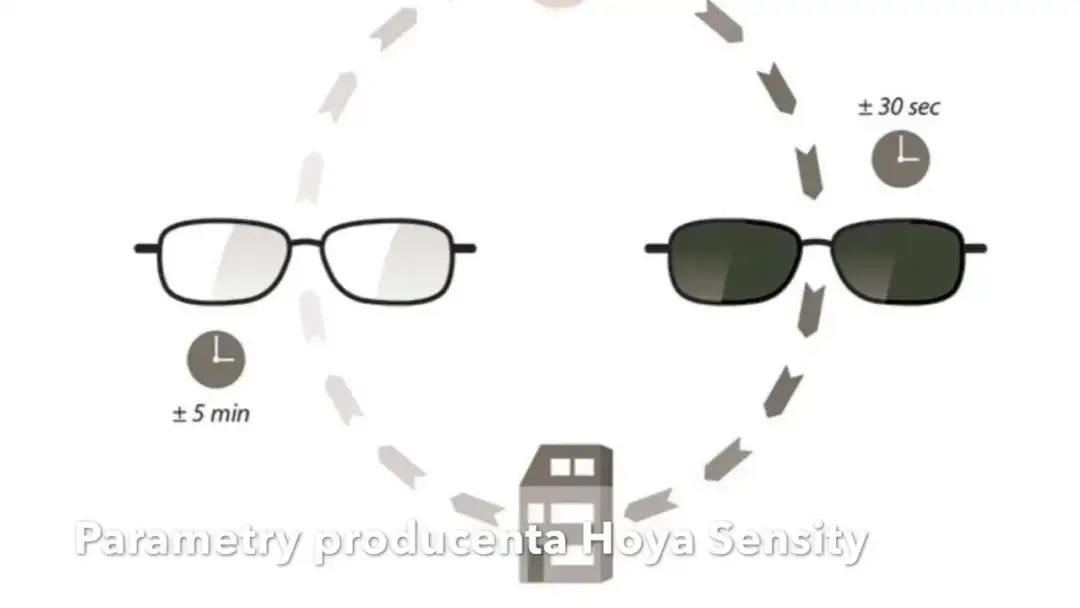 Soczewki Szajna czy Hoya - szczegółowe porównanie parametrów i opinii