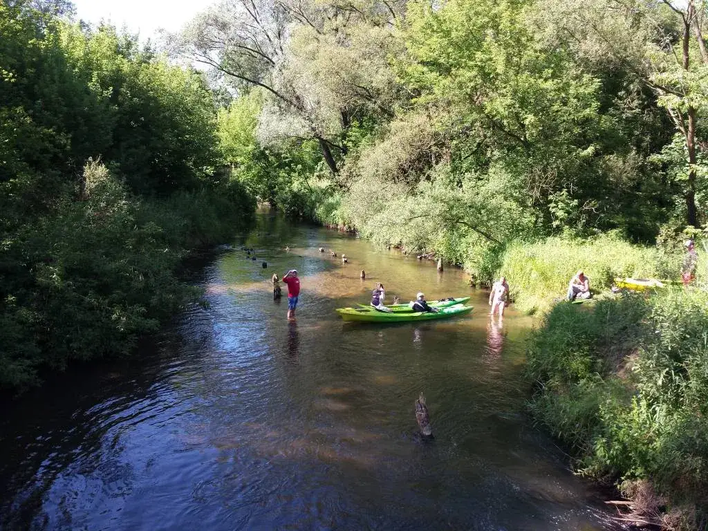 Spływ kajakowy Jeziorka: najlepsze trasy i wynajem kajaków w okolicy