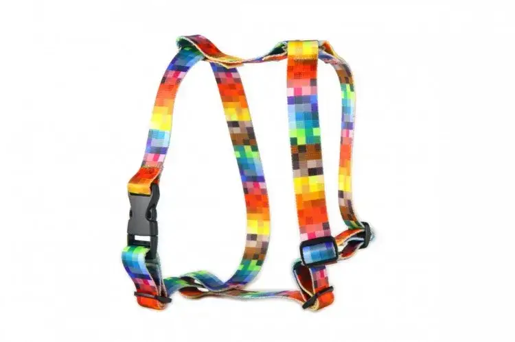 Szelki czy obroża – która opcja zapewni psu większe bezpieczeństwo?