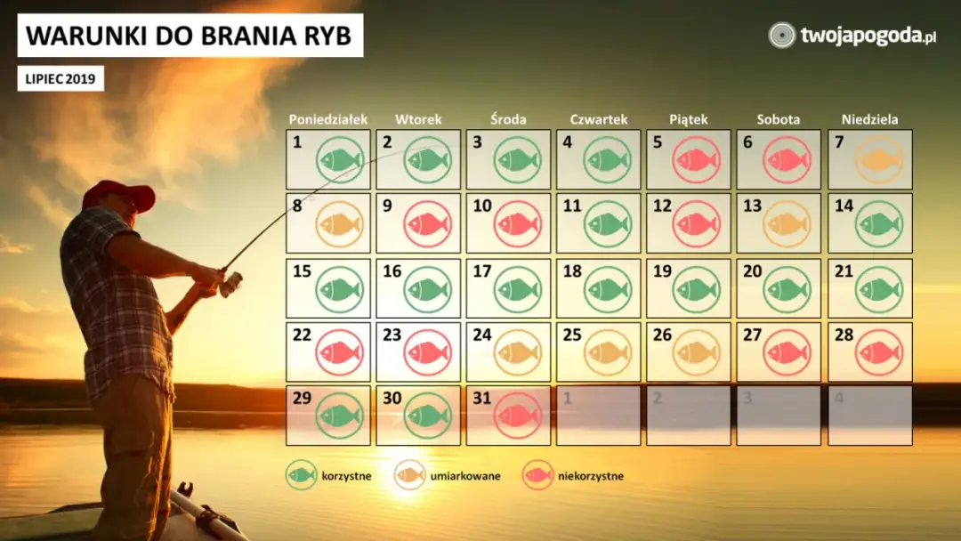 Pogoda na ryby: Jak czytać prognozy i łowić więcej?