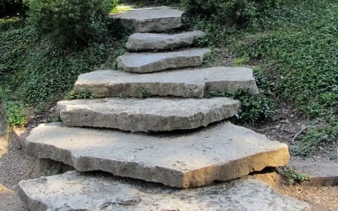 Jak ułożyć kamienie na skalniaku, by uniknąć najczęstszych błędów