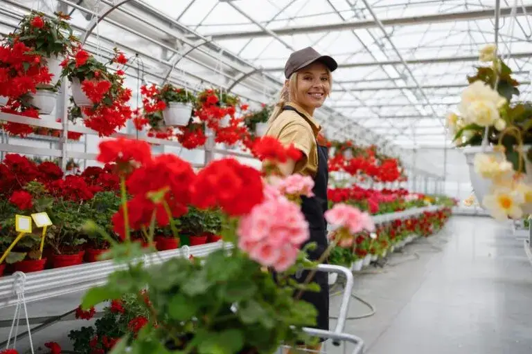 Ile można zarobić w Holandii przy kwiatach? Zaskakujące stawki i korzyści