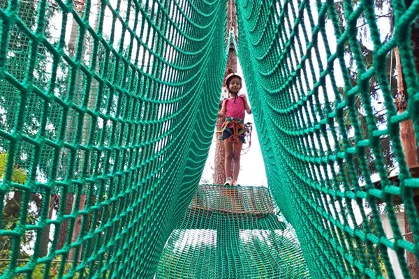 Park linowy Piła - odkryj emocjonujące trasy i atrakcje dla każdego