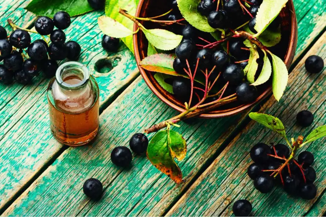 Jak zrobić sok z aronii? Poznaj sekret na cierpkość i zdrowie!