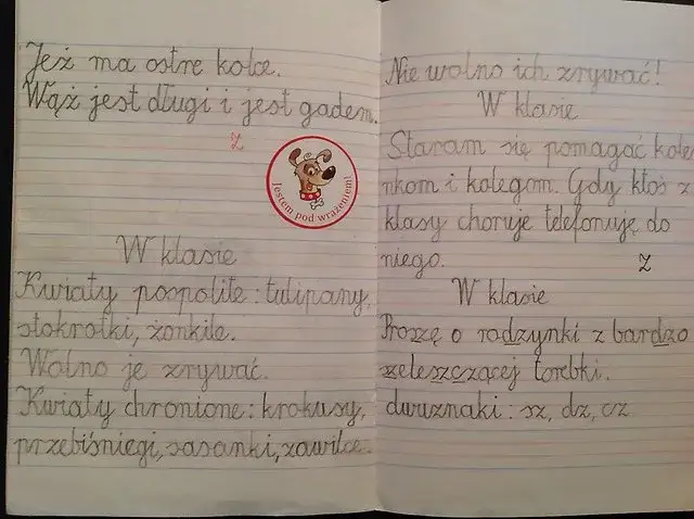 Jak pisać w zeszycie w 3 linie, aby uniknąć najczęstszych błędów