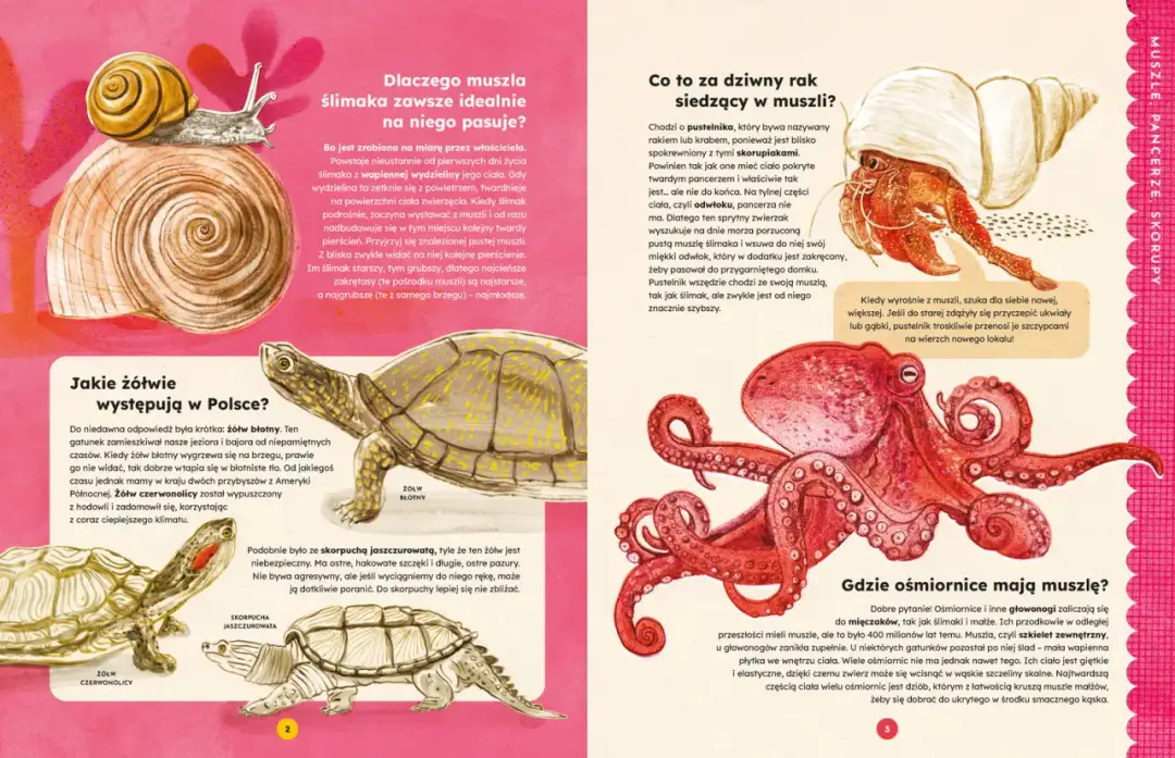 Fascynujące zwierzęta Azji - poznaj zachwycającą różnorodność gatunków