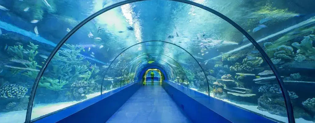 Oceanarium Antalya - Niezapomniane atrakcje i wskazówki dla odwiedzających