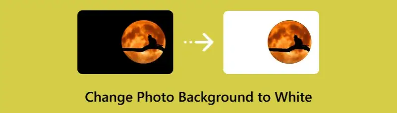 Jak zrobić białe tło do zdjęć w domu - proste metody i triki