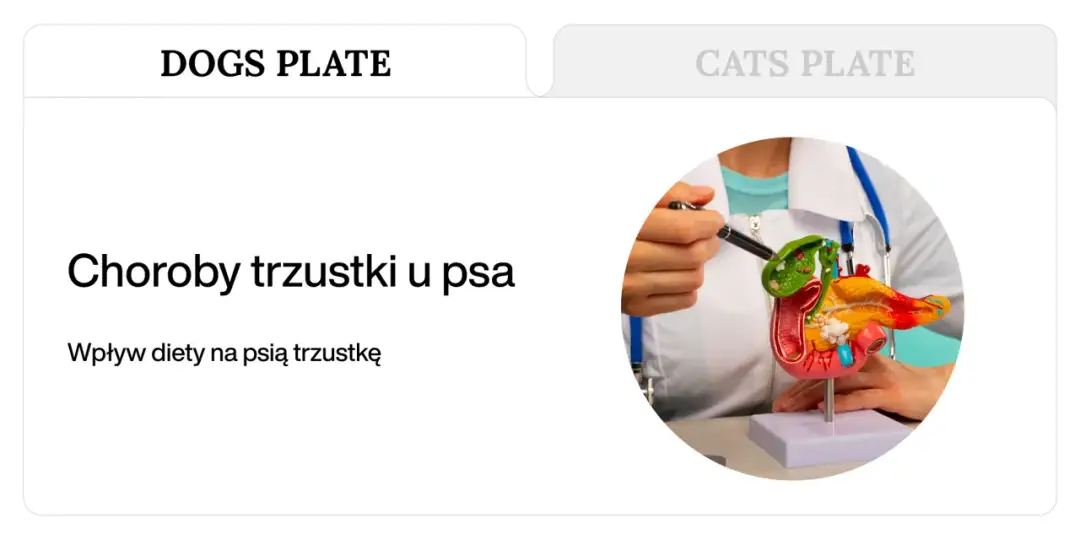 Chora trzustka u psa? Odkryj jadłospis i przepisy na zdrowe życie!