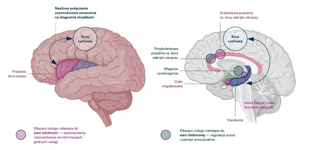 Zaburzenia czynnościowe: Gdy ciało boli, a badania milczą