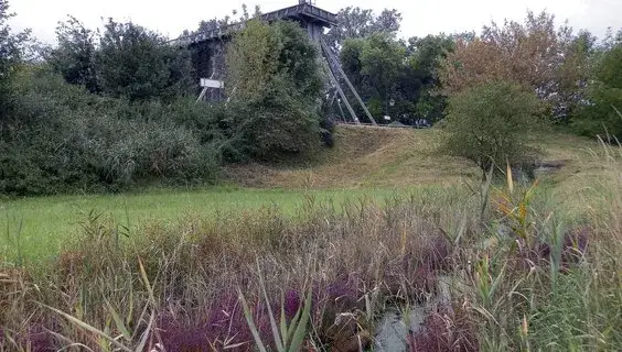 Rezerwat przyrody Ciechocinek: Unikalna flora i tajemnice przyrody
