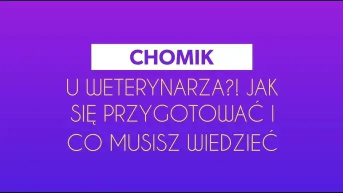 Czy z chomikiem chodzi się do weterynarza i co powinieneś wiedzieć?