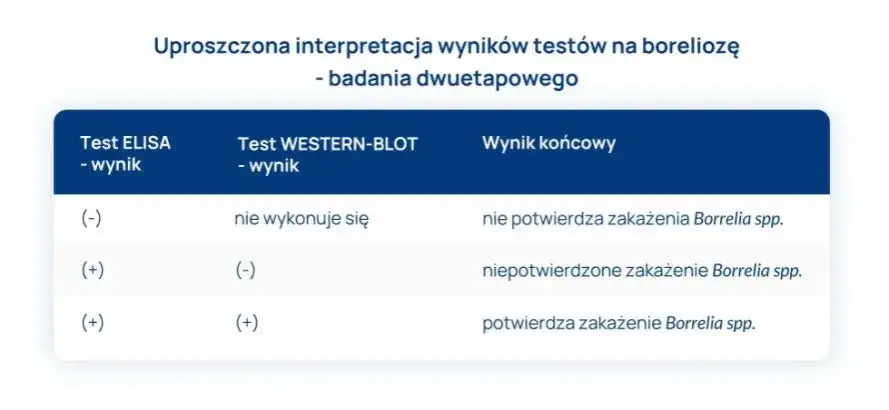 Jak odczytać wyniki badań na boreliozę i uniknąć fałszywych diagnoz