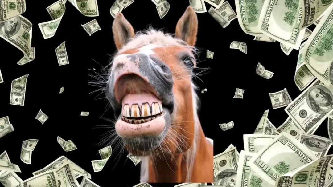 Ile kosztuje weterynarz dla konia? Poznaj ukryte wydatki i oszczędności