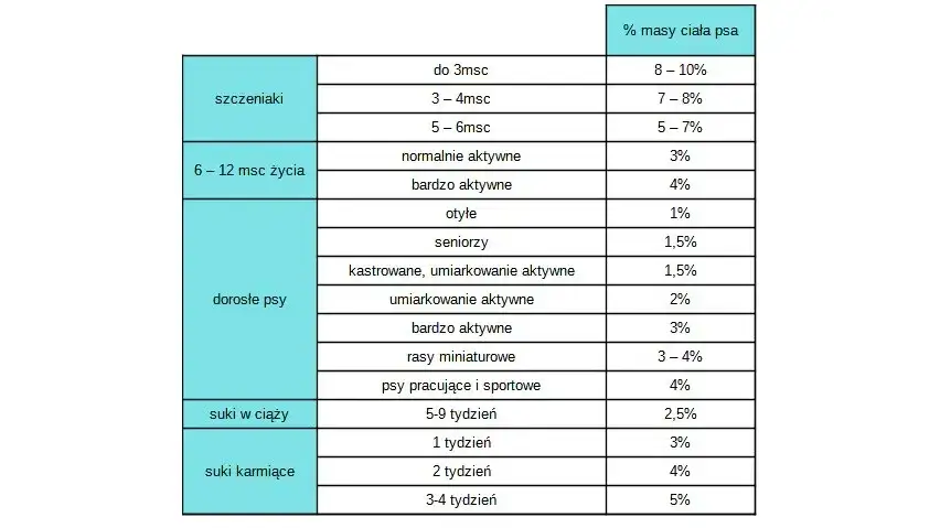 Ile karmy dla psa? Oblicz idealną porcję krok po kroku