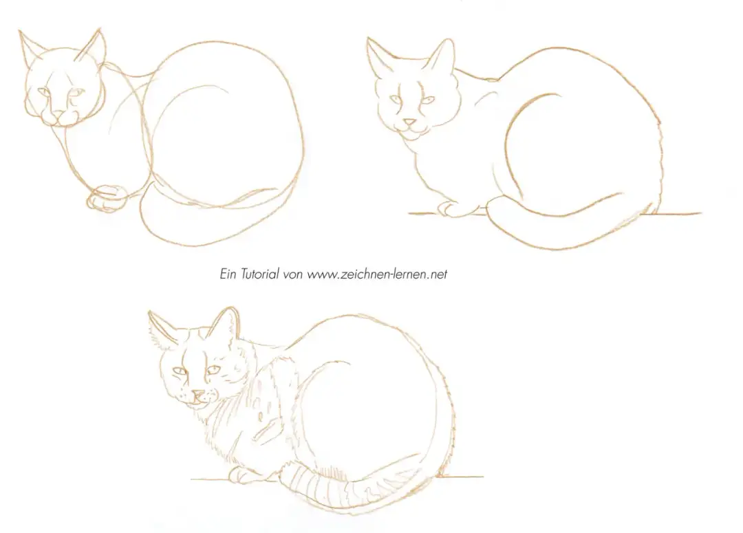 Katze zeichnen lernen: Einfache Schritt-für-Schritt-Anleitung