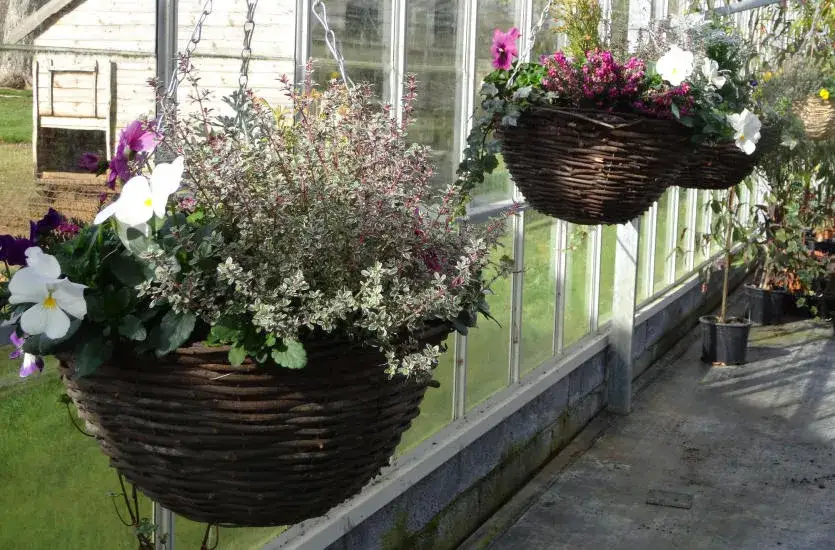 Jakie kwiaty do kwietnika wybrać, by cieszyć się pięknem bez problemów