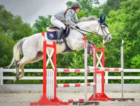 Jeździectwo skoki: Kluczowe techniki i tajniki treningu skoczków