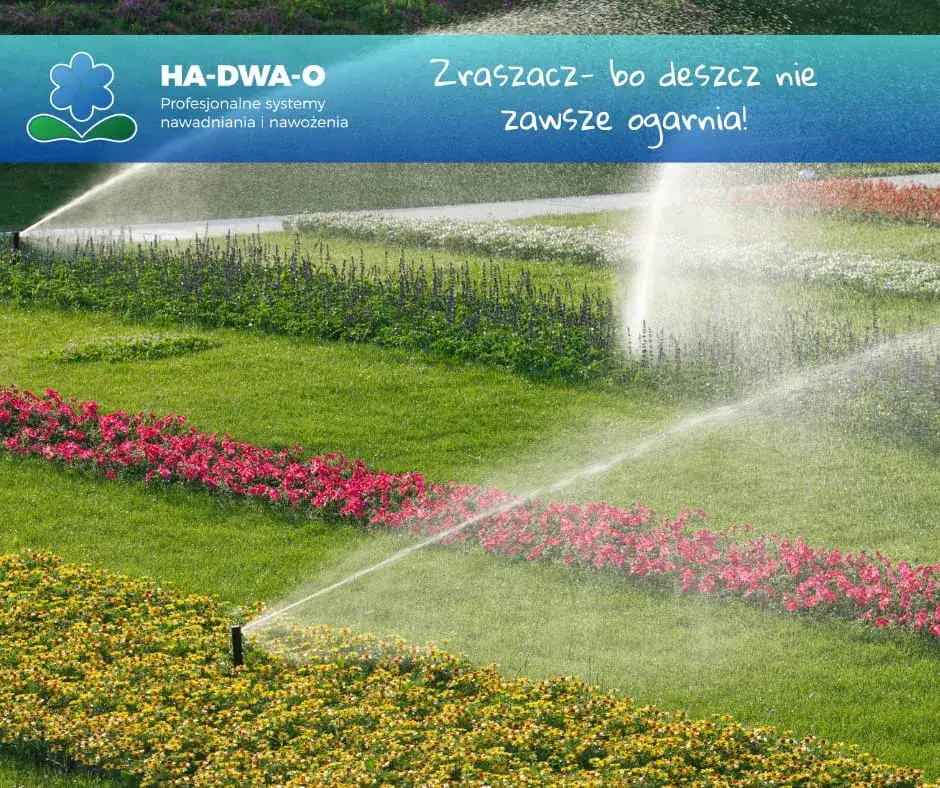 Jakie zraszacze do trawy? Wybierz idealny model dla ogrodu!