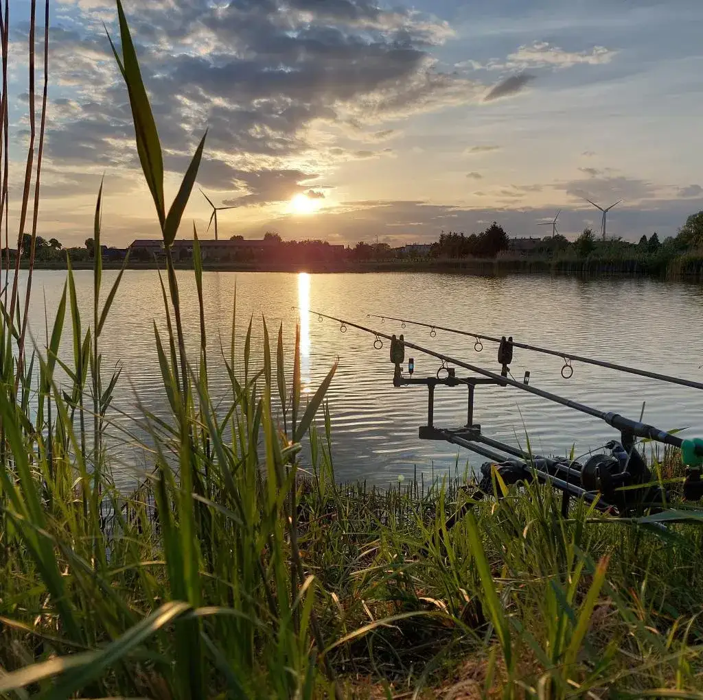 Łowisko Nekielka: najlepsze miejsce na karpie i komfortowe wędkowanie
