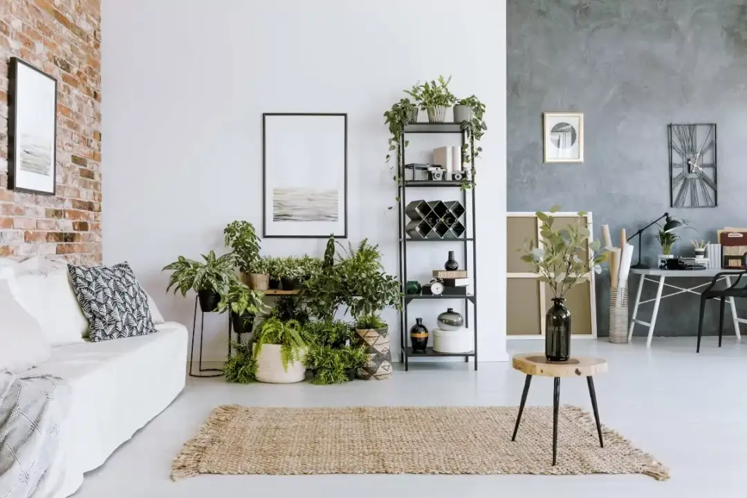 Jakie ozdoby do salonu? Inspiracje i pomysły na stylowy wystrój