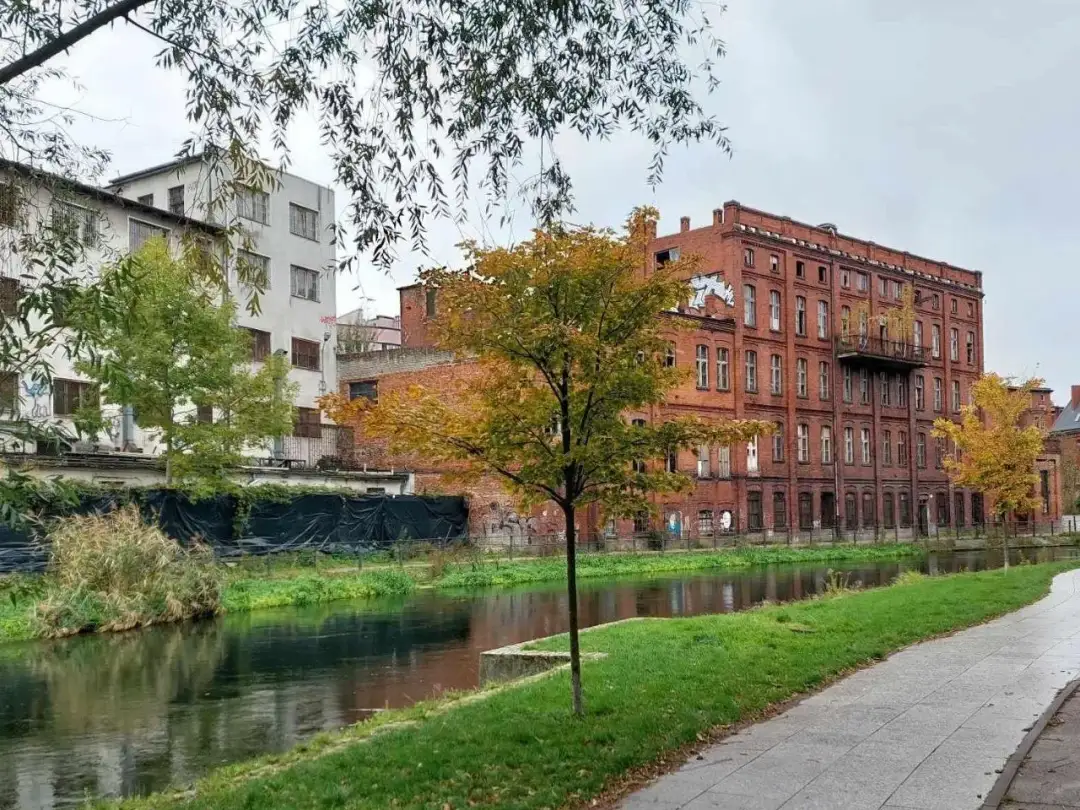 Niebezpieczne inwestycje: 5 obszarów, których lepiej unikać