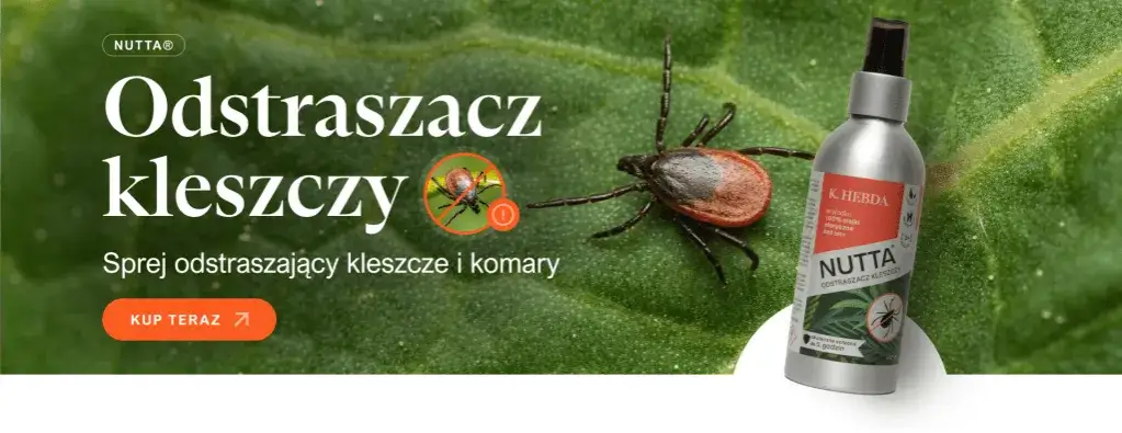 Jak zapobiec boreliozie - skuteczne metody ochrony przed kleszczami