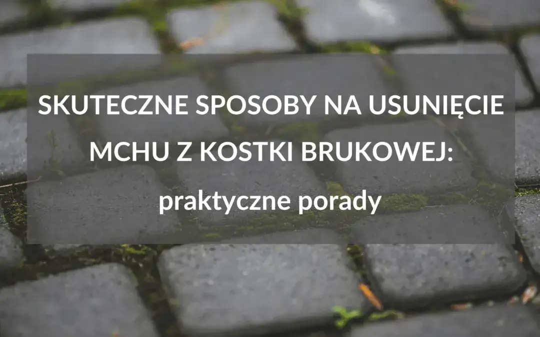 Skuteczne metody czyszczenia kostki brukowej z mchu, które działają
