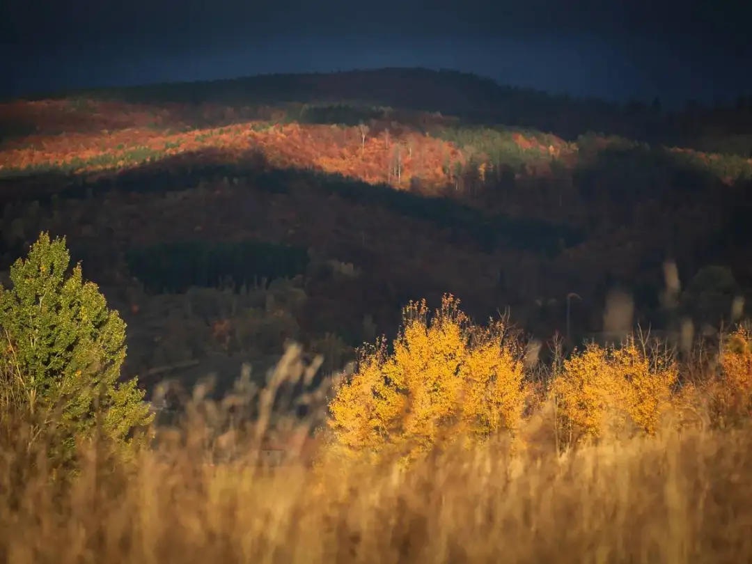Góry Sowie: Noclegi Gdzie spać, by odkryć ich tajemnice?