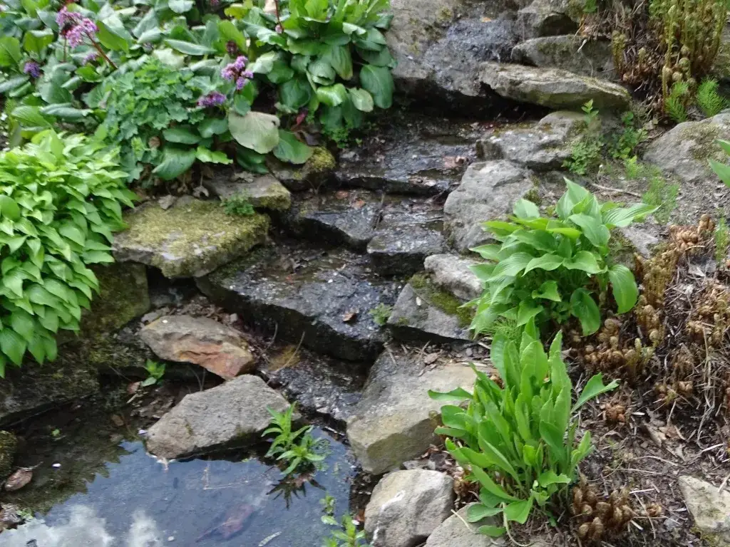 Kiedy najlepiej jechać do Powsina? Odkryj ukryte atrakcje sezonowe