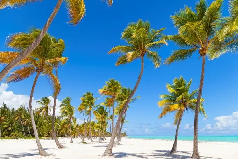 Najlepsze atrakcje w Dominikowie, które musisz zobaczyć na urlopie