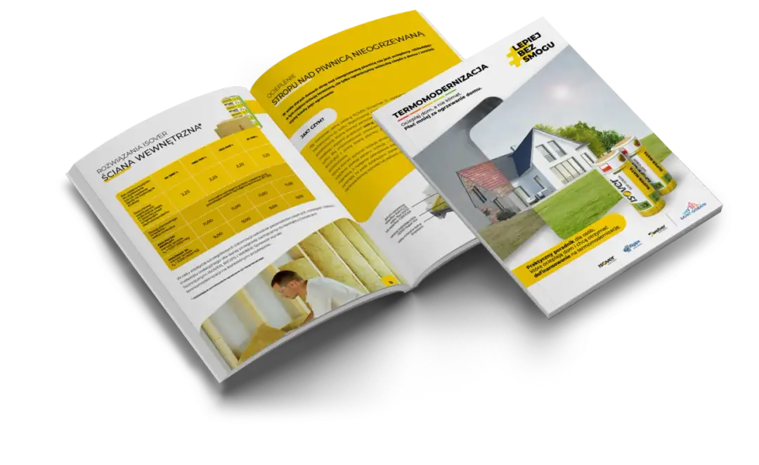 Jak walczyć ze smogiem? Praktyczny przewodnik po domu i mieście