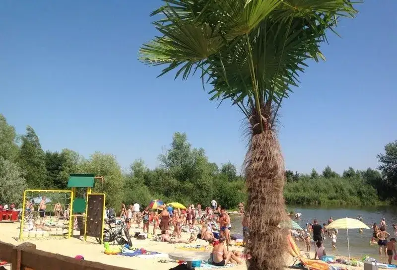 Rzeszów z dzieckiem: Od bajek po piwnice niezapomniane chwile