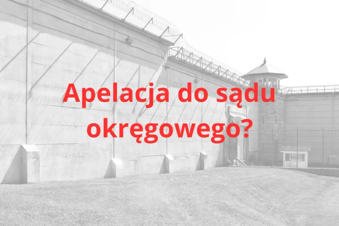 Ile się czeka na apelację? Sprawdź, co wpływa na czas oczekiwania