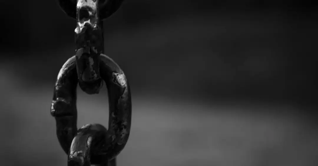 Zobacz, skąd się wzięła w USA niechęć do czarnoskórych - recenzja filmu na Netflix