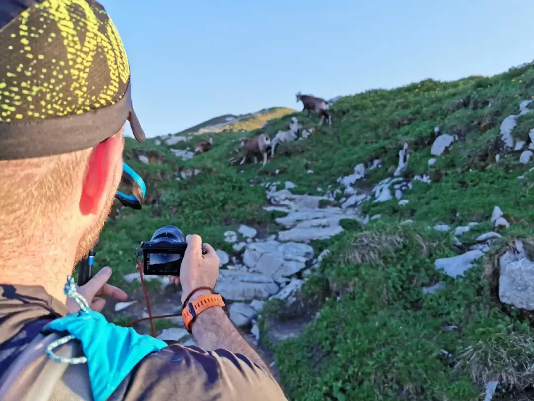 Jak zostać fotografem National Geographic i uniknąć najczęstszych błędów