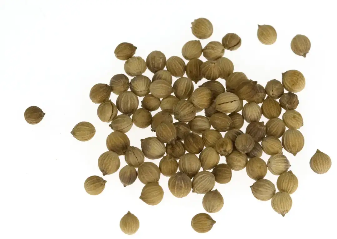 Gdzie kupić olej z kolendry? Sprawdź najlepsze oferty i ceny