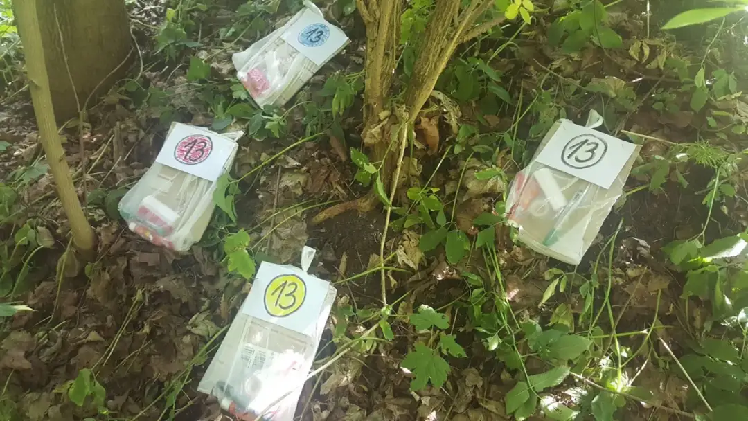 Jak stworzyć wciągający scenariusz gry terenowej: 5 kluczowych kroków