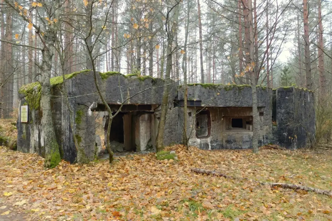 Najlepsze atrakcje w Jedwabnie, które musisz zobaczyć podczas wizyty