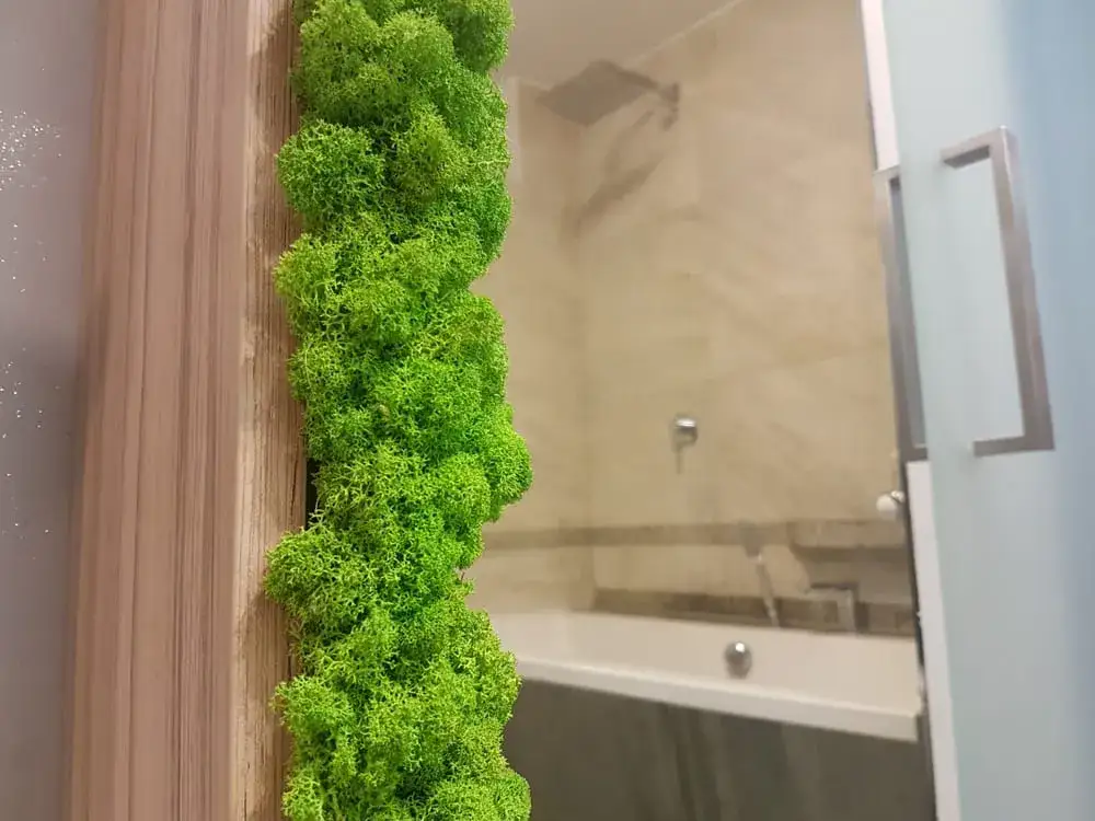 Jak dbać o mech dekoracyjny, aby zawsze wyglądał świeżo i zdrowo