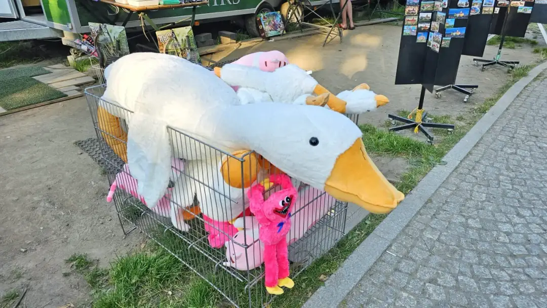 Skąd moda na pluszowe gęsi? Historia Pipy, która podbiła TikToka