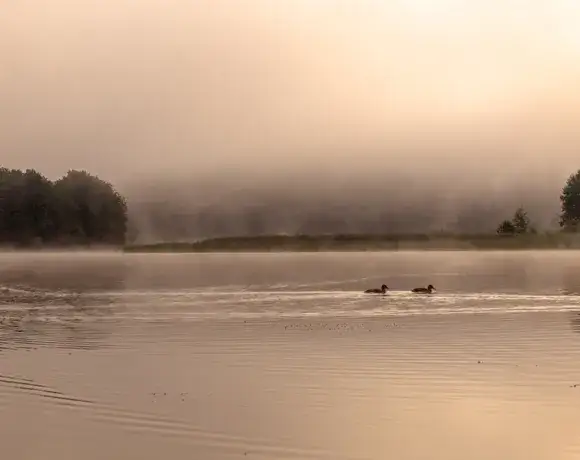Jezioro Giłwa: piękno natury, wędkowanie i atrakcje turystyczne