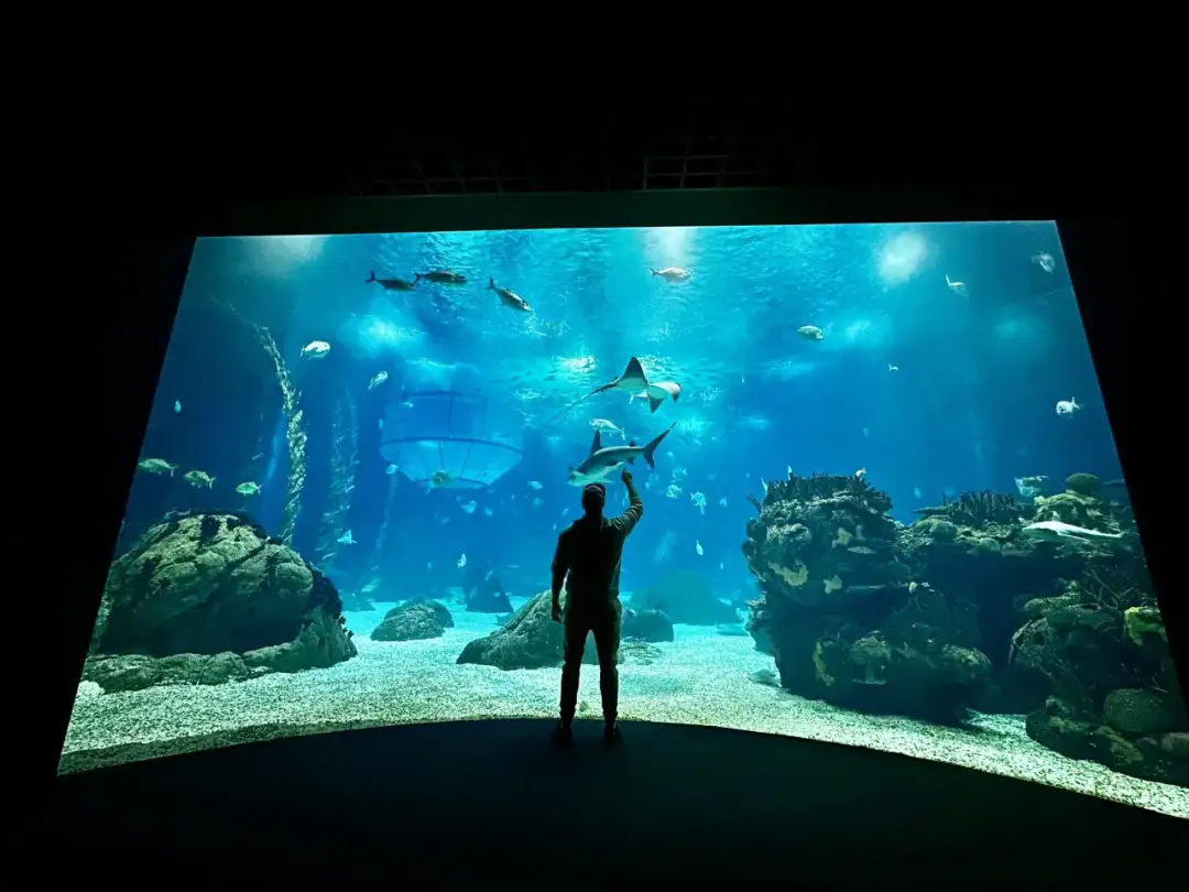 Oceanarium Lizbona – fascynujące morskie stworzenia i atrakcje dla rodzin