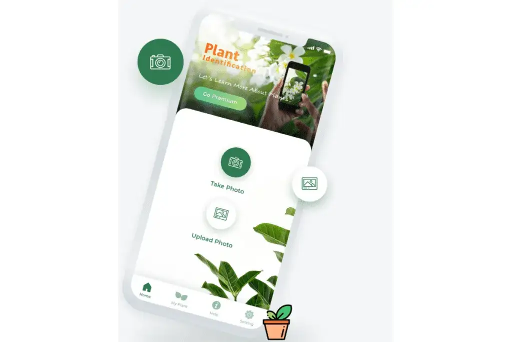 Jakie to drzewo aplikacja - najlepsze narzędzia do identyfikacji drzew