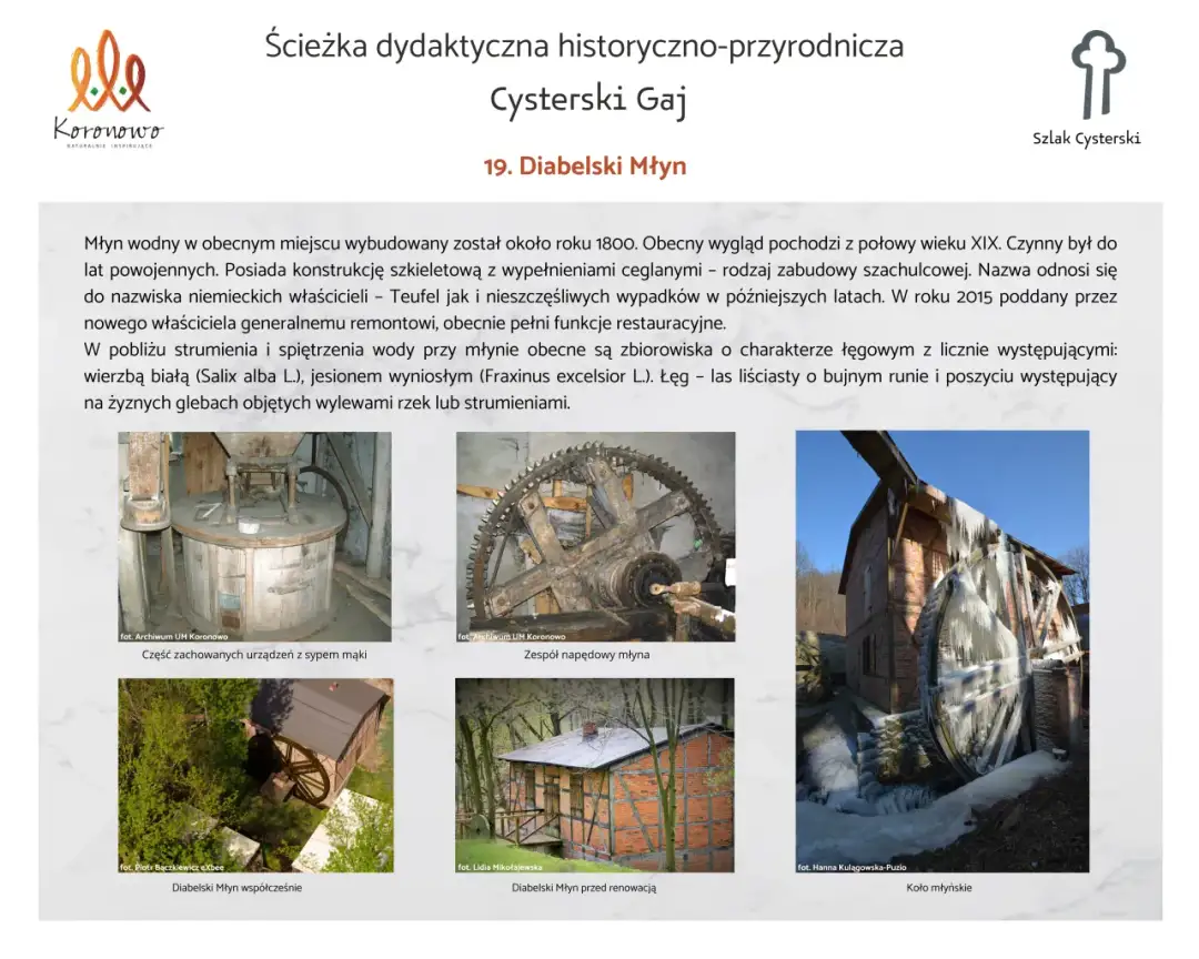 Koronowo atrakcje: Odkryj najbardziej zaskakujące miejsca w mieście