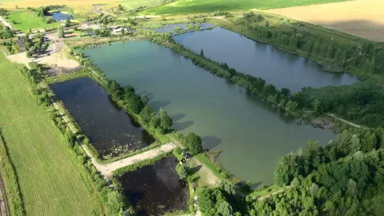 Łowiska specjalne u Roberta - idealne miejsce na wędkowanie w ciszy